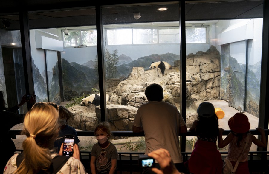 Smithsonian's National Zoo kicks off celebration of giant panda program