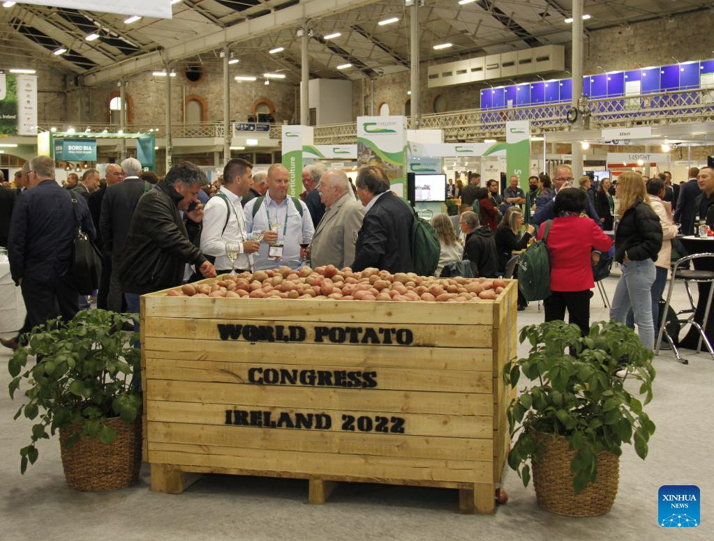 World Potato Congress held in DublinXinhua