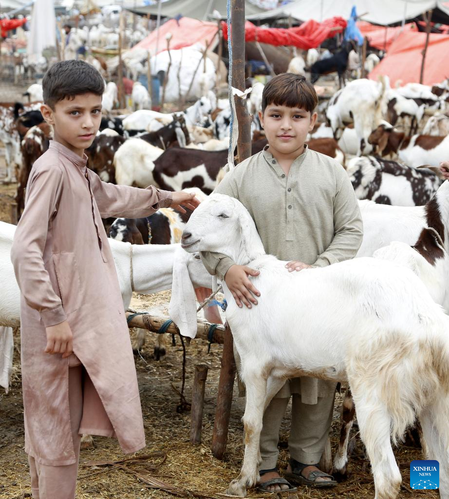 Feature Pakistanis celebrate Eid alAdha festival with jubilation