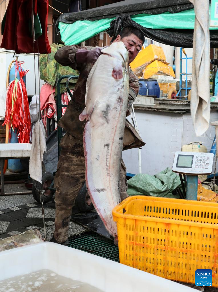 Fuji Fish China Trade,Buy China Direct From Fuji Fish Factories at