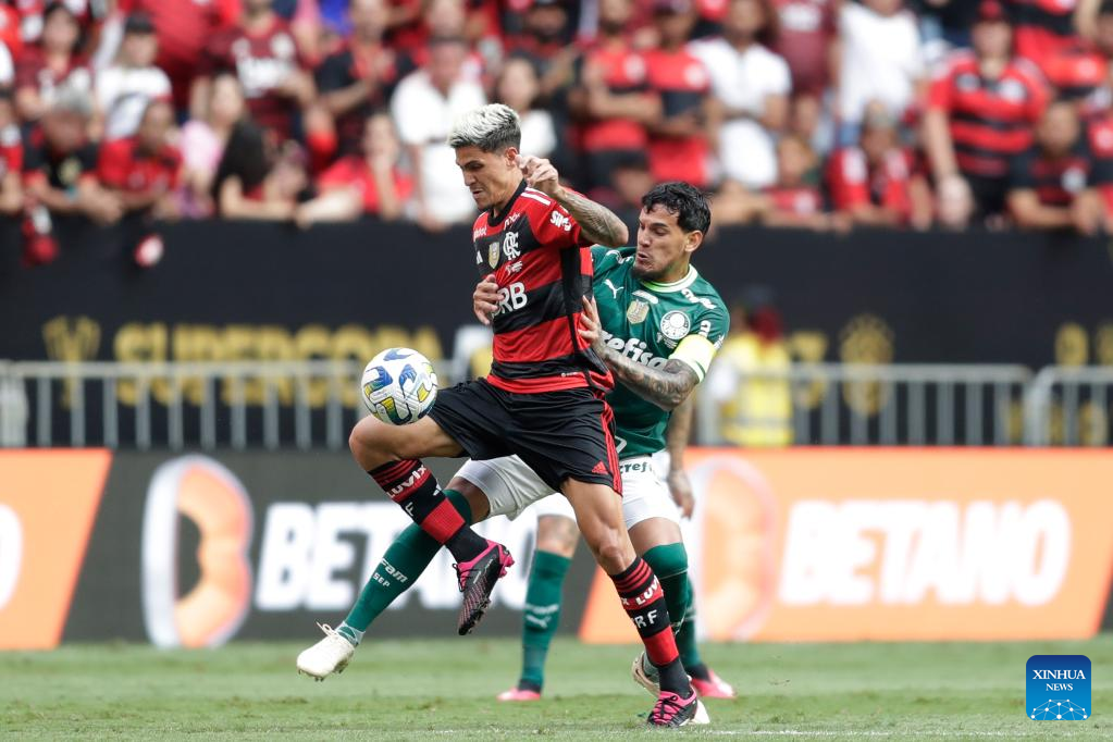 In pics: Brazilian Super Cup final match-Xinhua