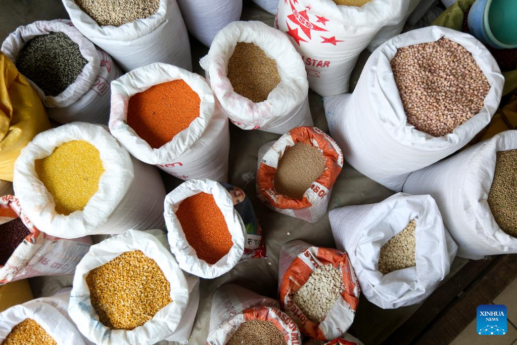 Myanmar Exports Over 1.35 Mln Tons Of Beans, Pulses In Nearly 10 Months 