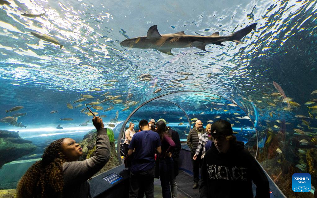 Ripley's Aquarium of Canada draws families to celebrate Family Day-Xinhua