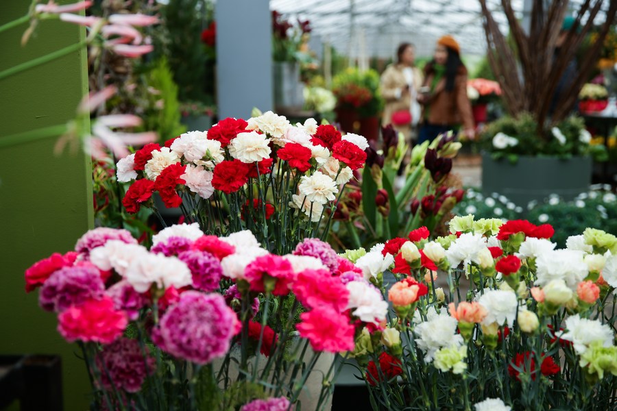 Belgian flower exhibition attracts visitorsXinhua