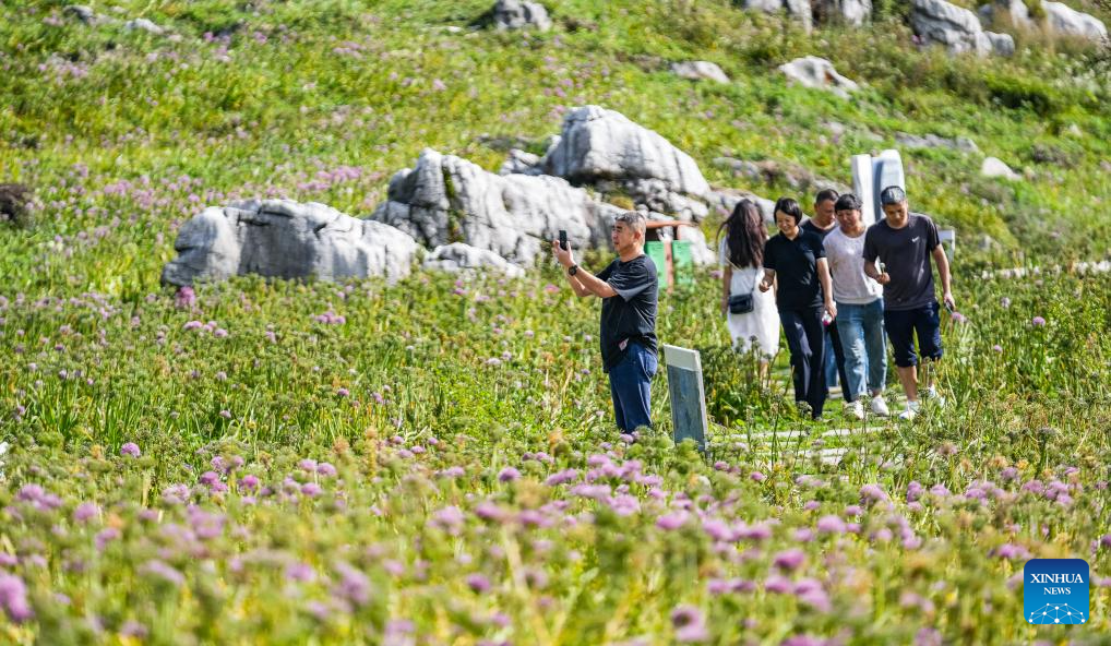 Blooming Leek Flowers Attract Tourists In Guizhou Xinhua