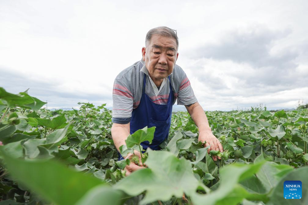 In Pics: National Seed Breeding Base In Hainan-Xinhua