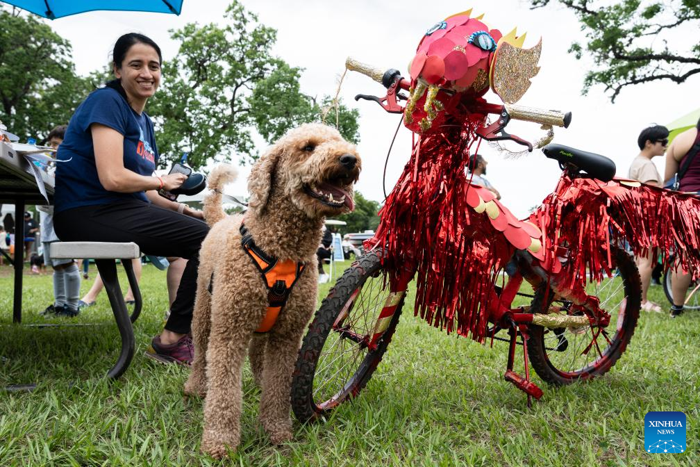 3rd Annual Art Bike Parade and Festival Takes Place in Houston, US-Xinhua