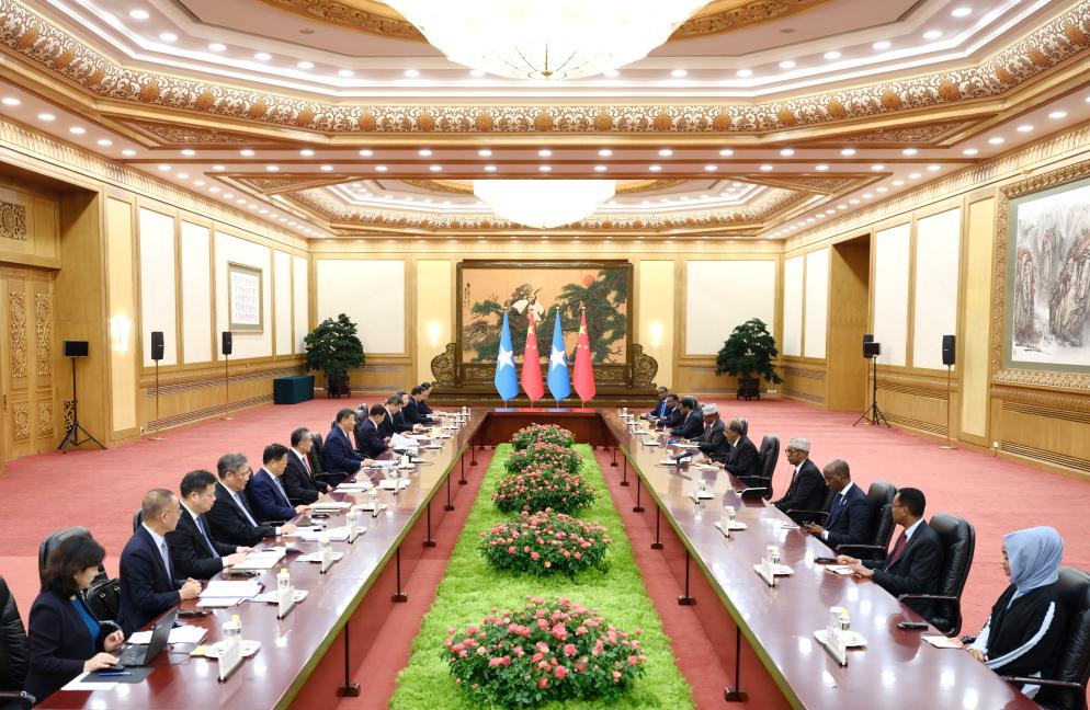 FOCAC Xi Meets Somali President Xinhua