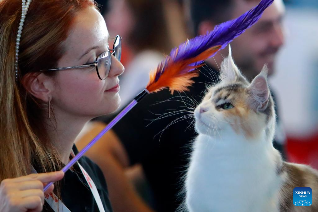 Int'l Feline Beauty Contest Held In Bucharest, Romania-Xinhua