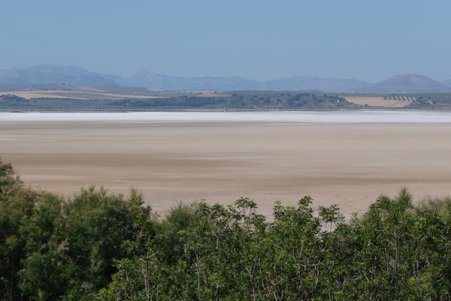 News Analysis Devastating Spanish floods a deadly convergence of