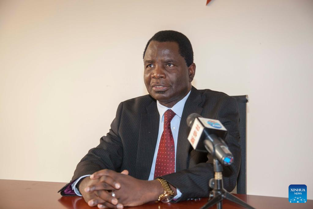 ZambiaChina friendship body says China development model inspiringXinhua