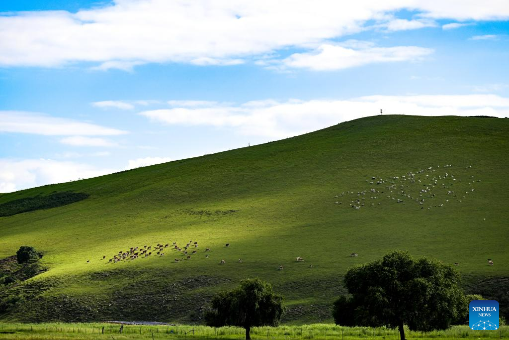 Pic story herdsman's summer life in Horqin Right Wing Front Banner, N