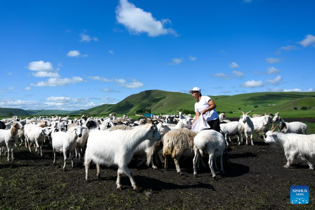 Pic story herdsman's summer life in Horqin Right Wing Front Banner, N
