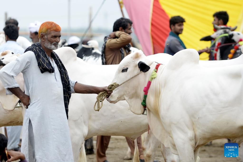 Feature Pakistanis Celebrate Eid Al Adha Festival With Jubilation