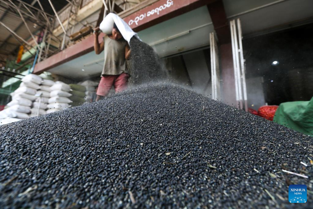 Myanmar Exports Over 600 000 Tons Of Black Grams Xinhua