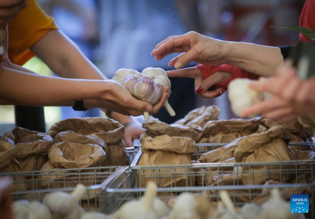 Annual Richmond Garlic Festival held in Richmond, CanadaXinhua