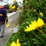 Genentech to test Alzheimer's drug in landmark prevention trial