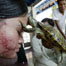 Most eccentric therapies around world