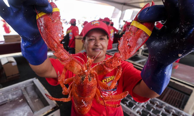 Annual Port of Los Angeles Lobster Festival celebrated in California