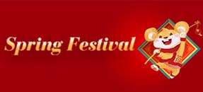 Spring Festival 2020