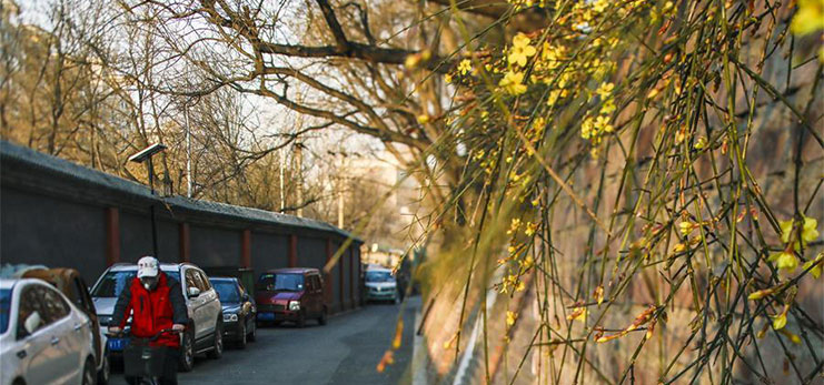 Early spring in Beijing
