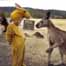 Adorable meeting of kangaroo and four-year-old girl