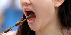 Are you ready for insect diet?