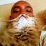 Cat bearding: Hottest feline craze takes over internet