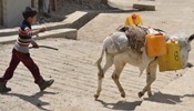 Afghans face severe water crisis in Kabu