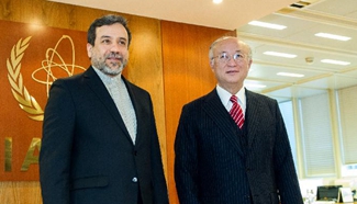 Director general of IAEA meets senior Iranian nuclear negotiato