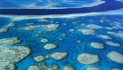 Global 10 enchanting aquatic marvelous sights