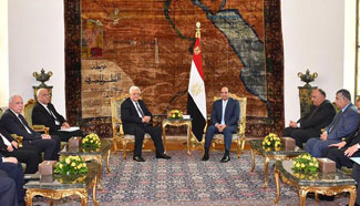 Egyptian president meets Palestinian counterpart in Cairo