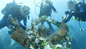 World's 1st underwater preserve celebrates 50th birthday