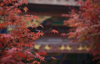 Autumn view across China