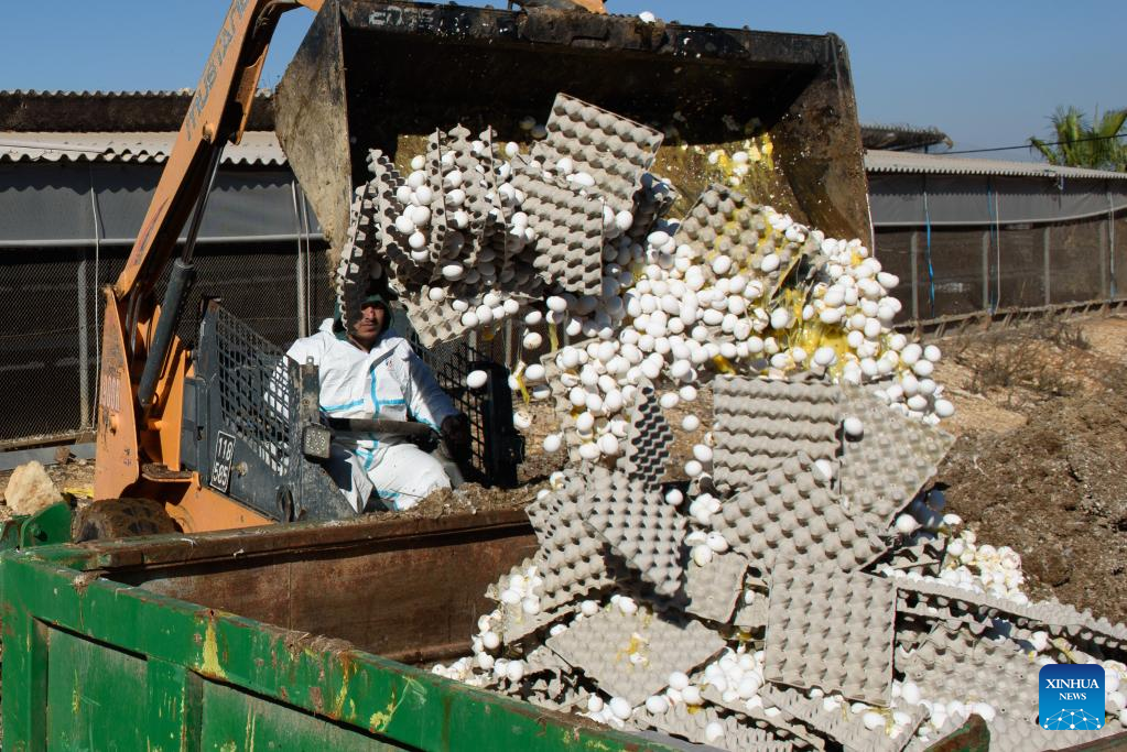 Israel detects bird flu outbreak in northern village-Xinhua