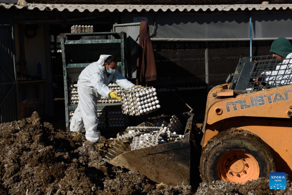 Israel detects bird flu outbreak in northern village-Xinhua