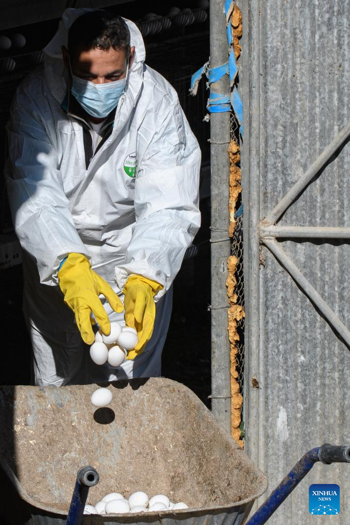 Israel detects bird flu outbreak in northern village-Xinhua