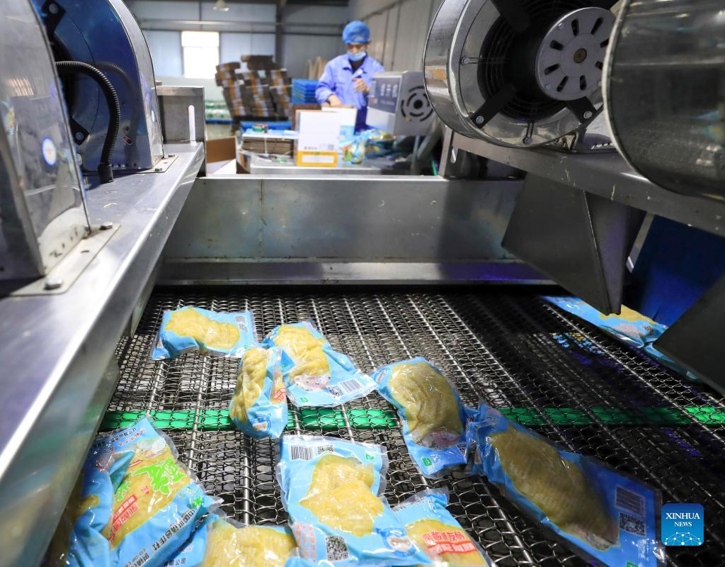 Villagerun sauerkraut factory creates jobs for locals in NE ChinaXinhua