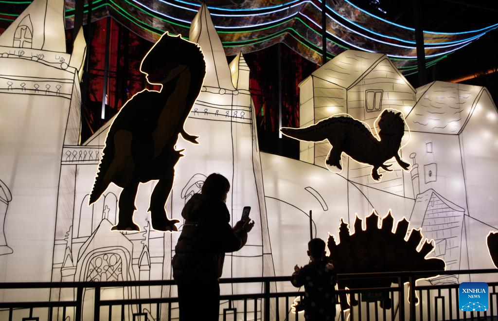 Lantern fair held to celebrate Chinese Lunar New Year in Zigong ...