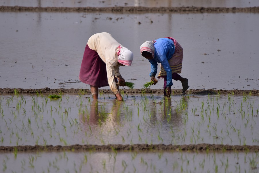 Asia Album: Community fishing at Goroimari Lake in northeast Indian state  of Assam - Xinhua