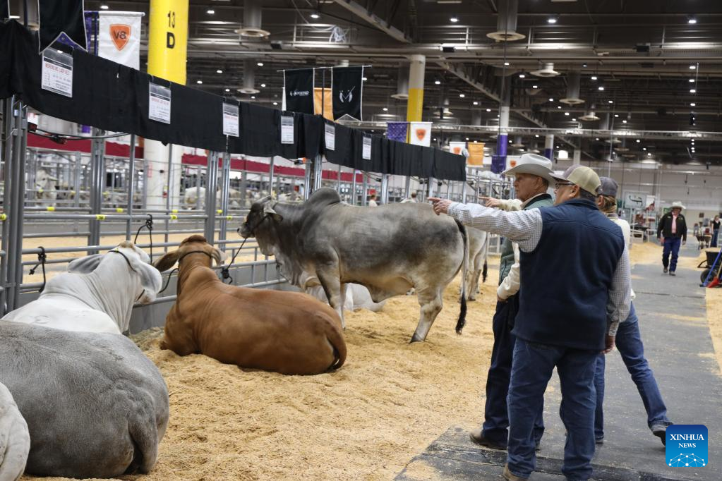 Houston Livestock Show and Rodeo kicks off Xinhua