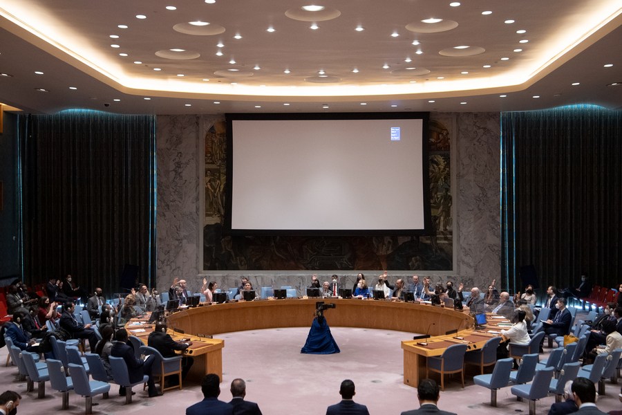 Security Council renews mandate of UN Mission in South Sudan-Xinhua