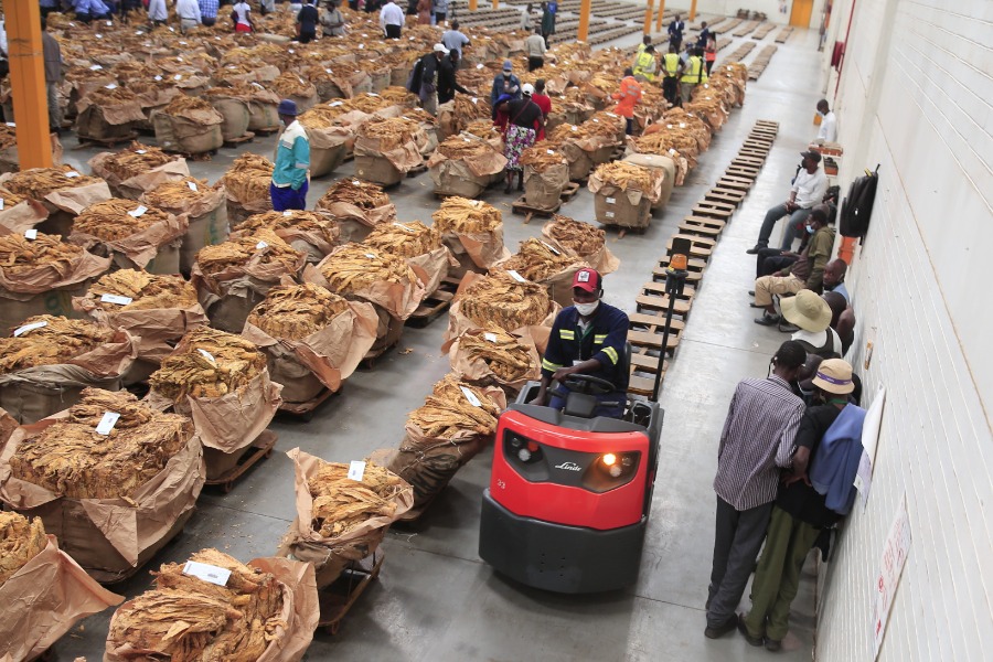 Zimbabwe's 2022 tobacco selling season starts-Xinhua