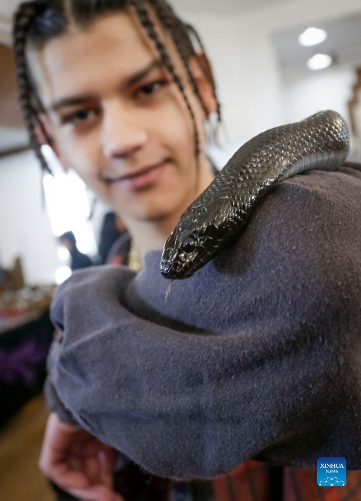Highlights of 2022 Vancouver Reptile ExpoXinhua