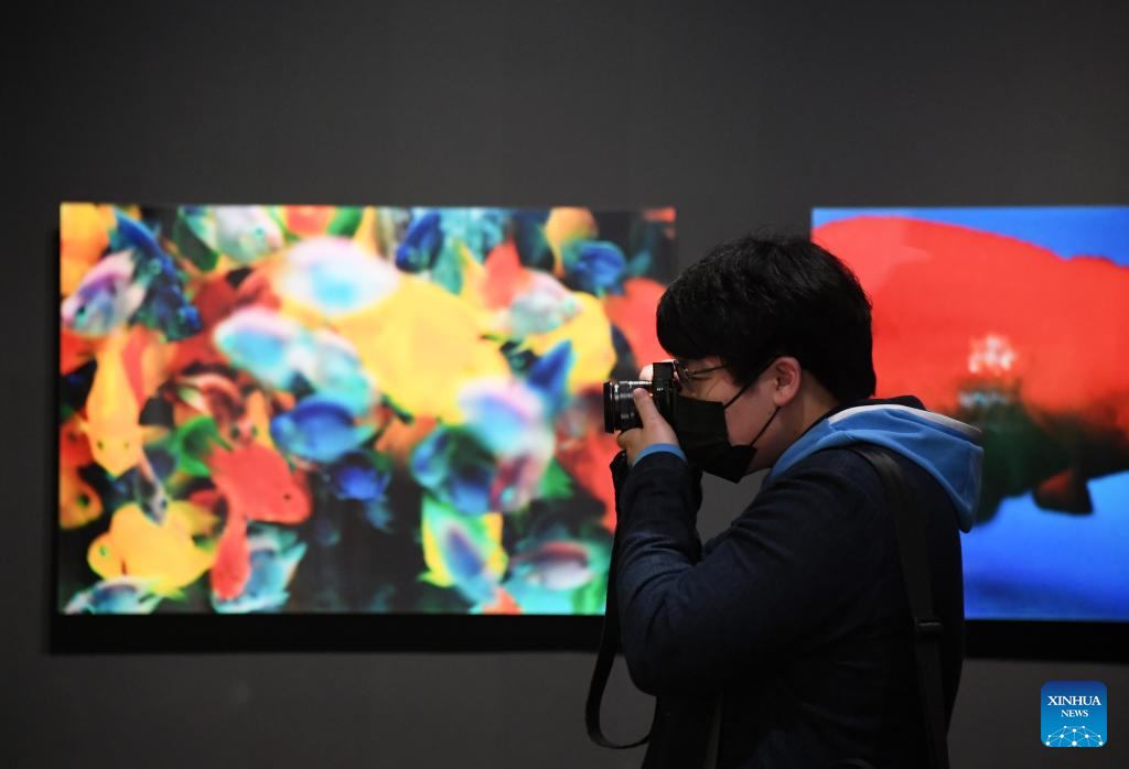New gallery finds footing in Beijing Fun