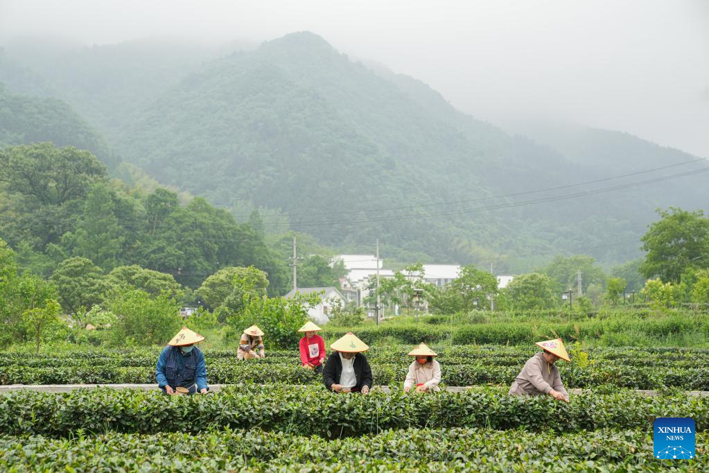 E China's Jinzhai County promotes industrial integration, agro