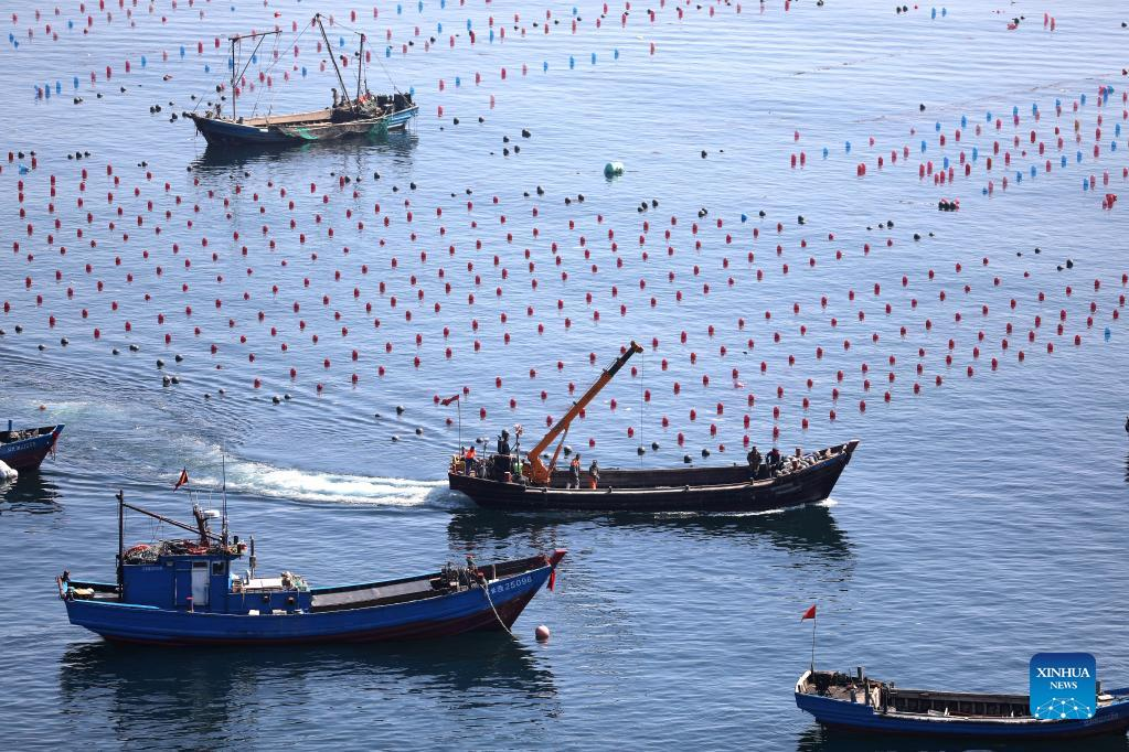 China: Bohai Fishing In Dalian