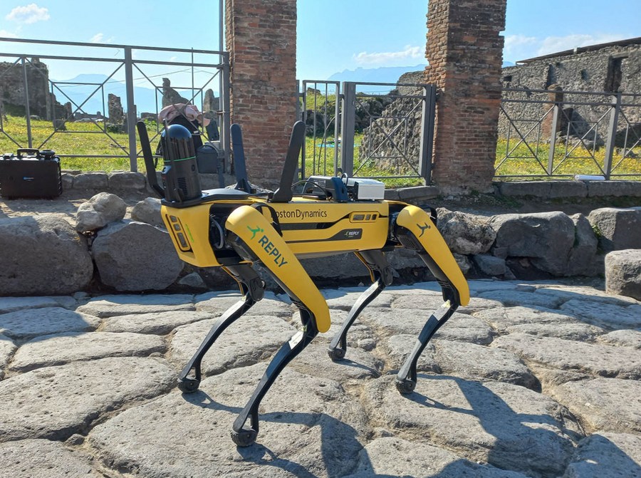 Case Study: Successful Restoration Projects - Visual representation and detailed illustration