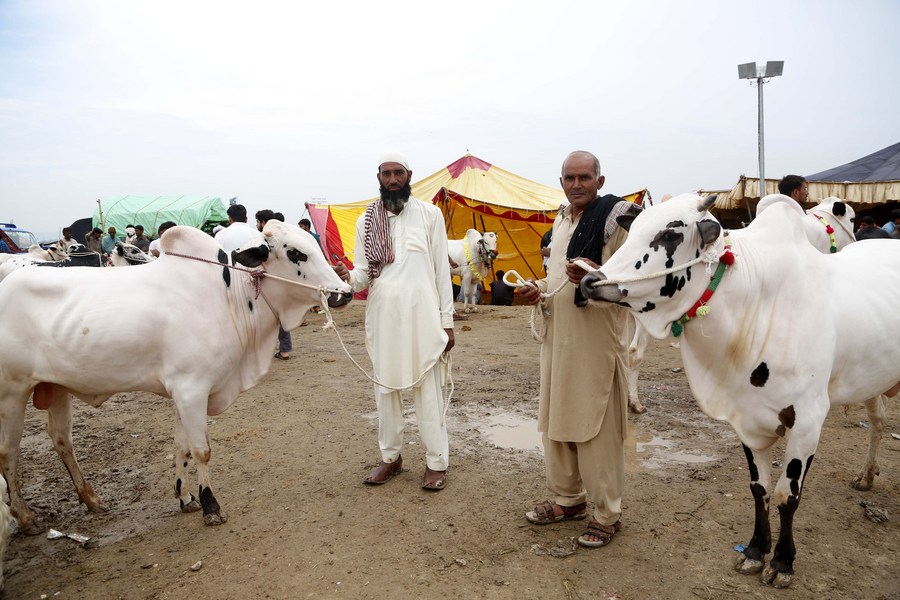 Pakistanis celebrate Eid alAdha festival with jubilation, family