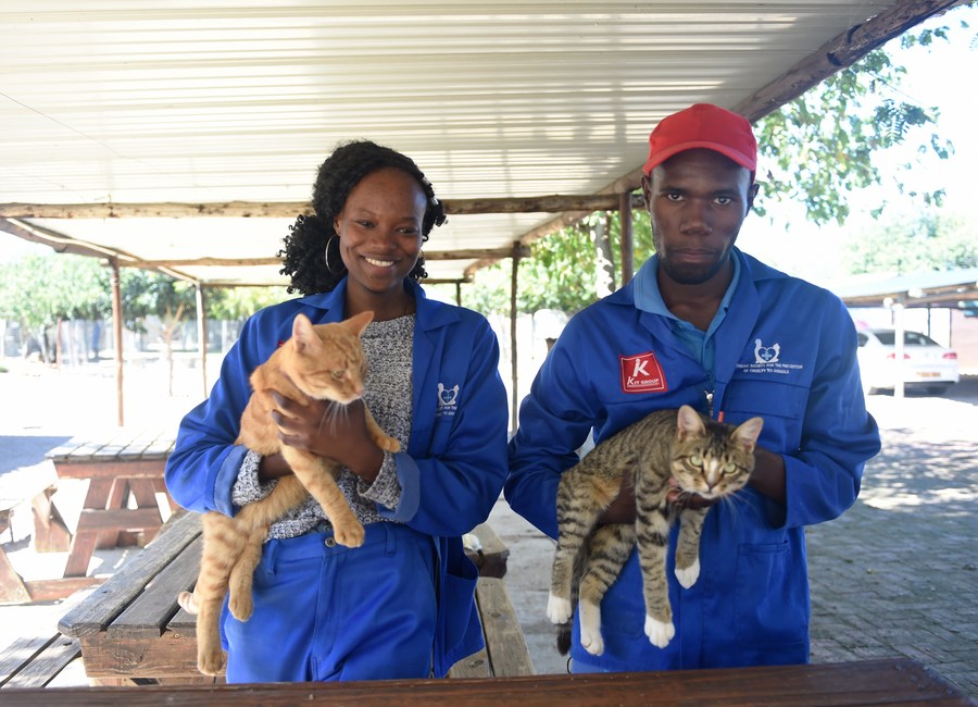 (Hello Africa) Botswana nursery provides welfare for neglected animals ...